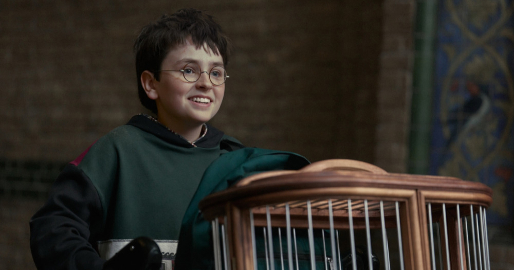 Harry Potter dobiva novu seriju, a najveći problem mnogima je očit