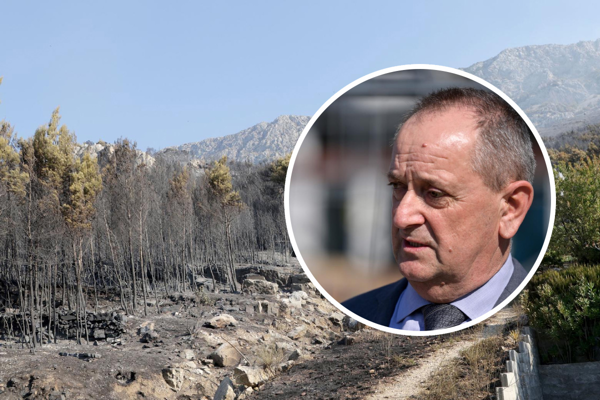 Profesor s Agronomskog o požaru kod Omiša: Posljedice će biti katastrofalne