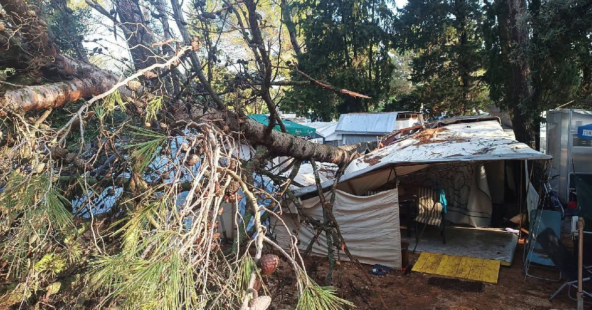 FOTO Pijavica počupala 50 borova u kampu na Lošinju. Golema šteta, dvoje ozlijeđenih