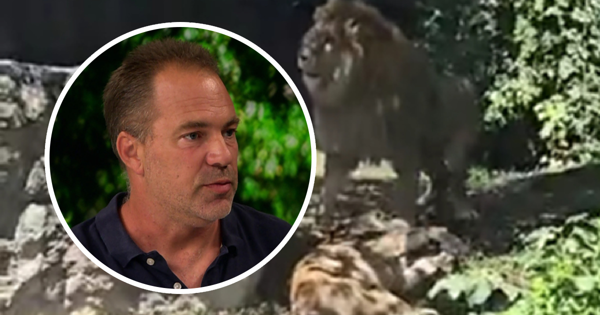 Ravnatelj ZOO-a: U trenutku napada na lavicu bilo je oko 50, 60 ljudi oko nastambe