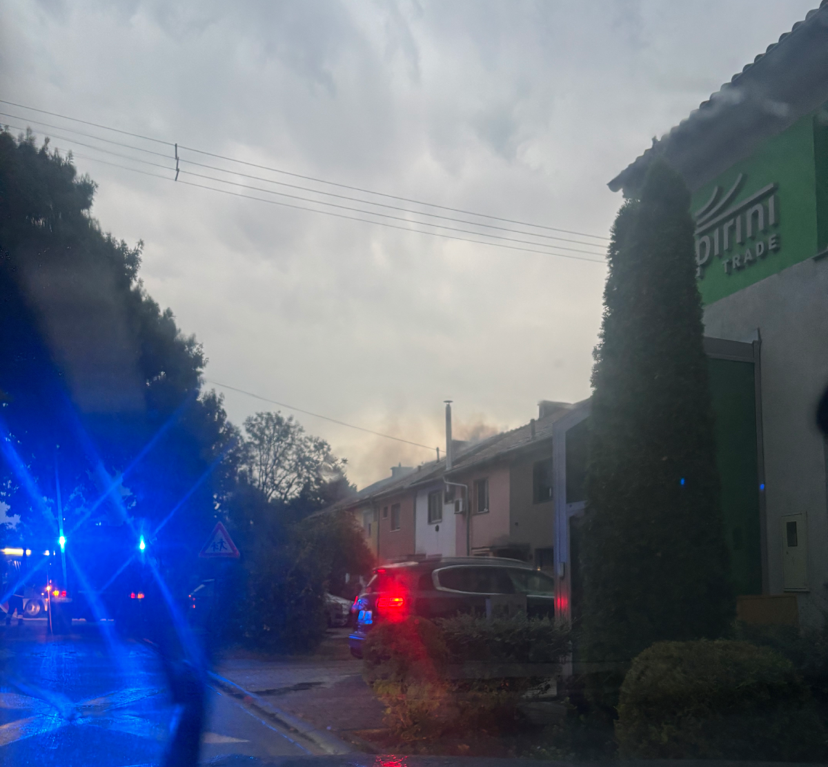 Strašno nevrijeme u Osijeku. Srušena stabla, munja zapalila kuću