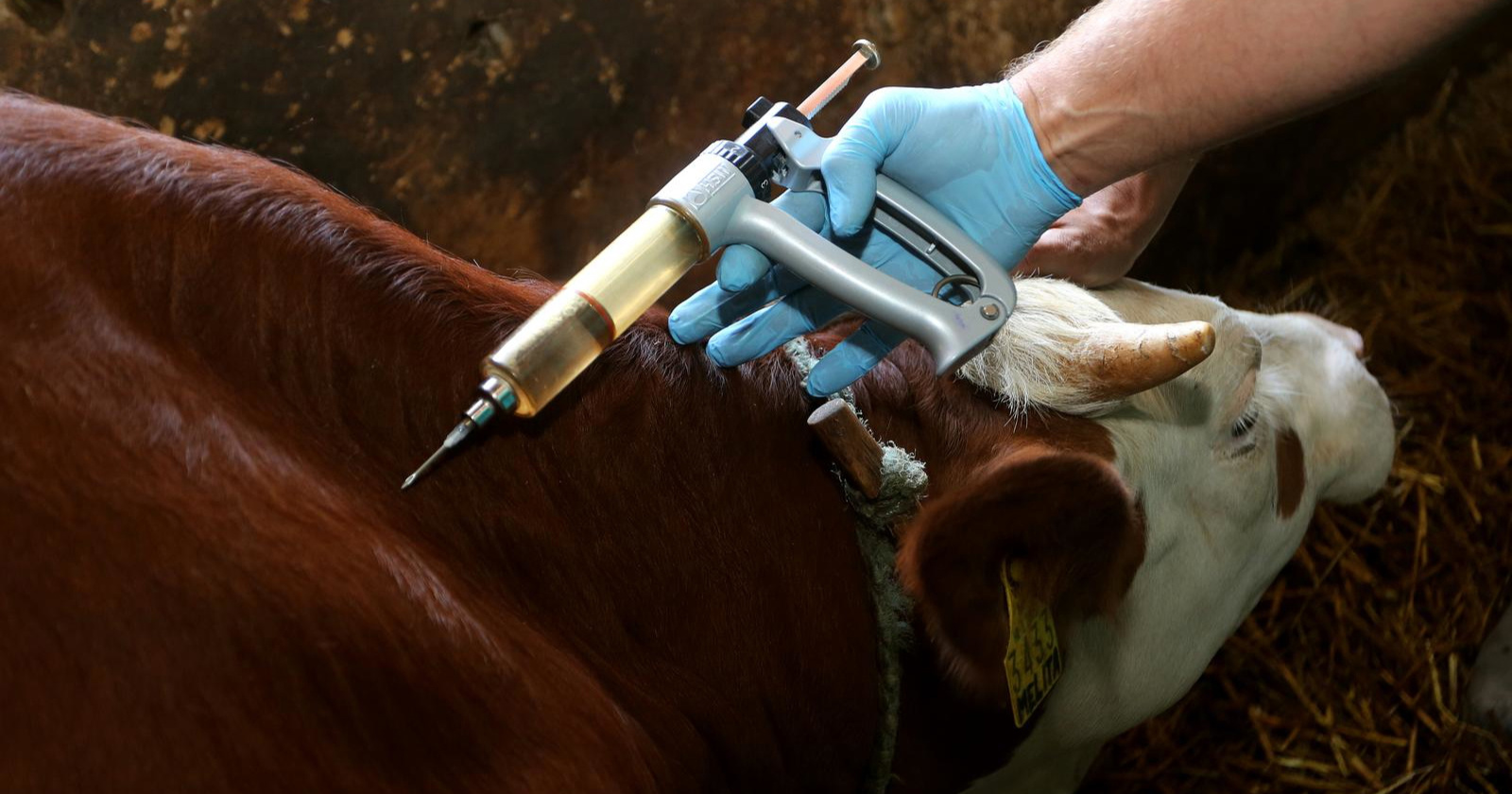 Ministar: Pred veterinarskom strukom su veliki izazovi