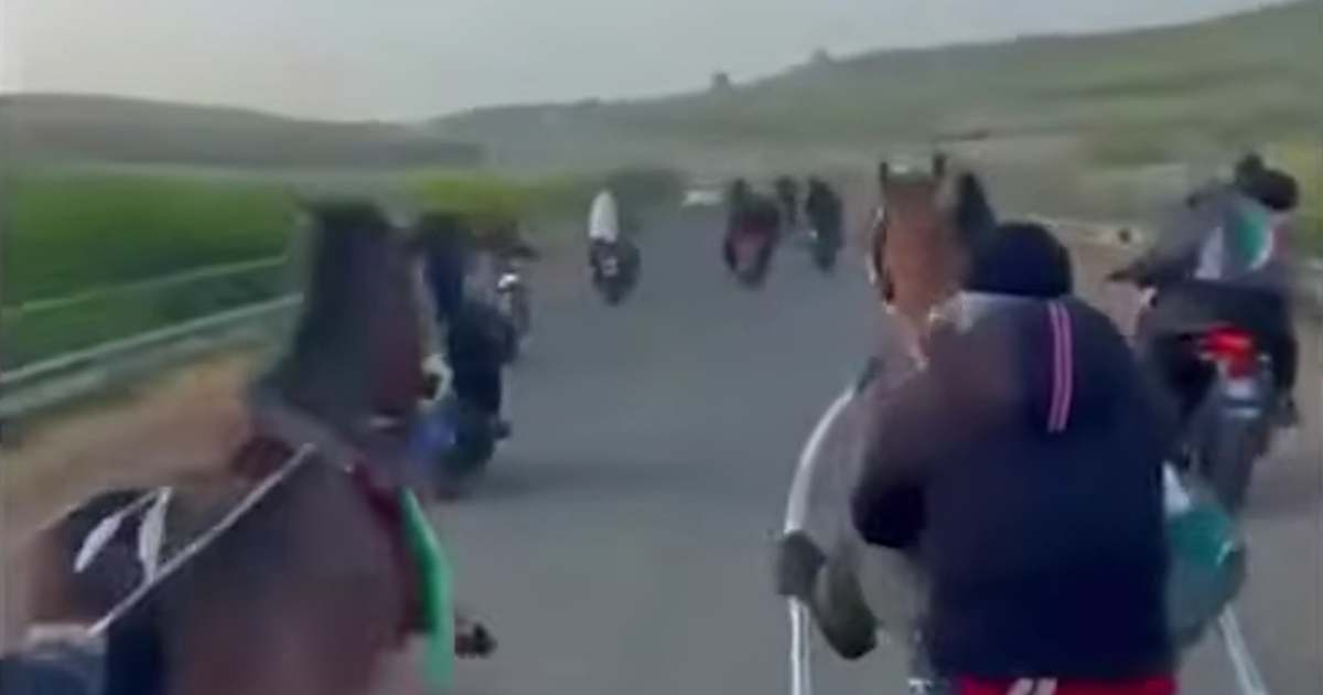 VIDEO Ilegalna utrka konja na Siciliji, ljudi pucaju iz pištolja i mašu kalašnjikovim