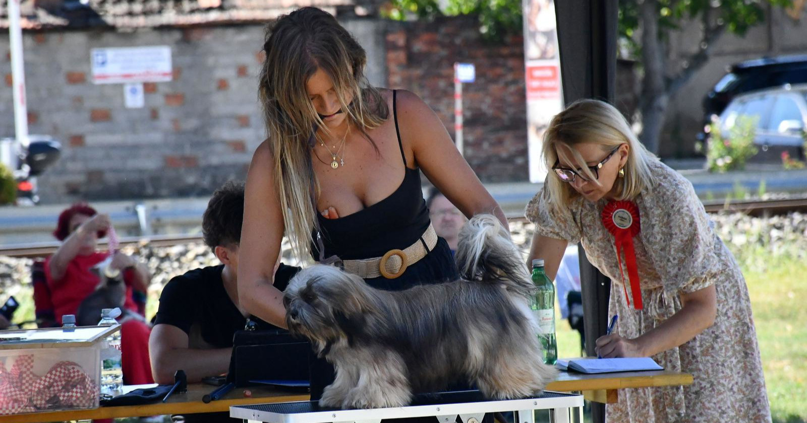 FOTO U Požegi održana Specijalna izložba pasa CAC-HR