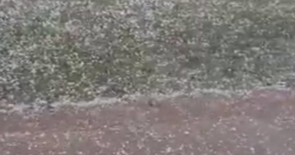 VIDEO Jaka tuča u Petrinji i okolici, uništeni voćnjaci i vrtovi
