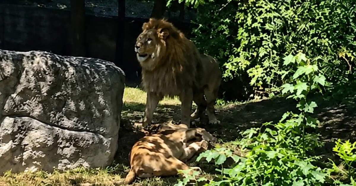 Prijatelji životinja: Zoološki vrt financiraju i oni koji ga nikada ne posjećuju