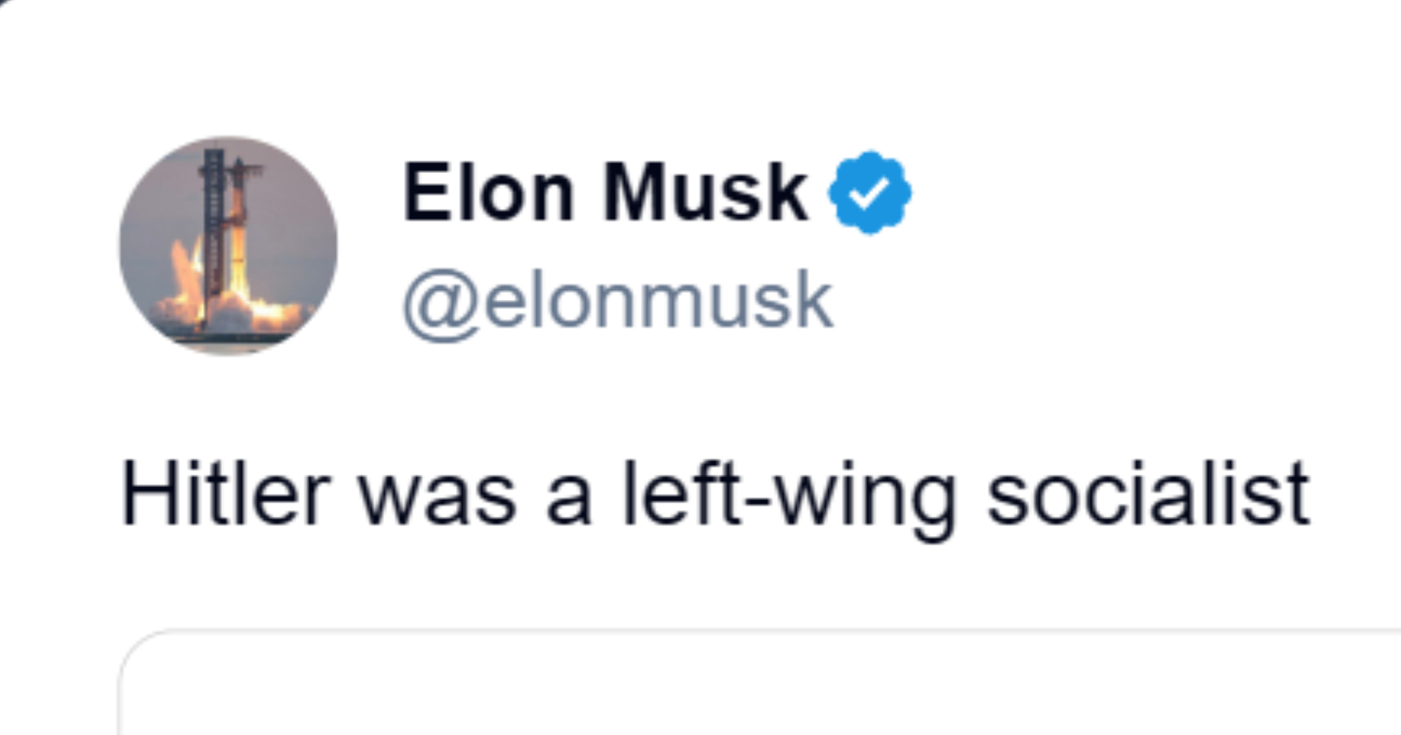 Musk: Hitler je bio ljevičarski socijalist