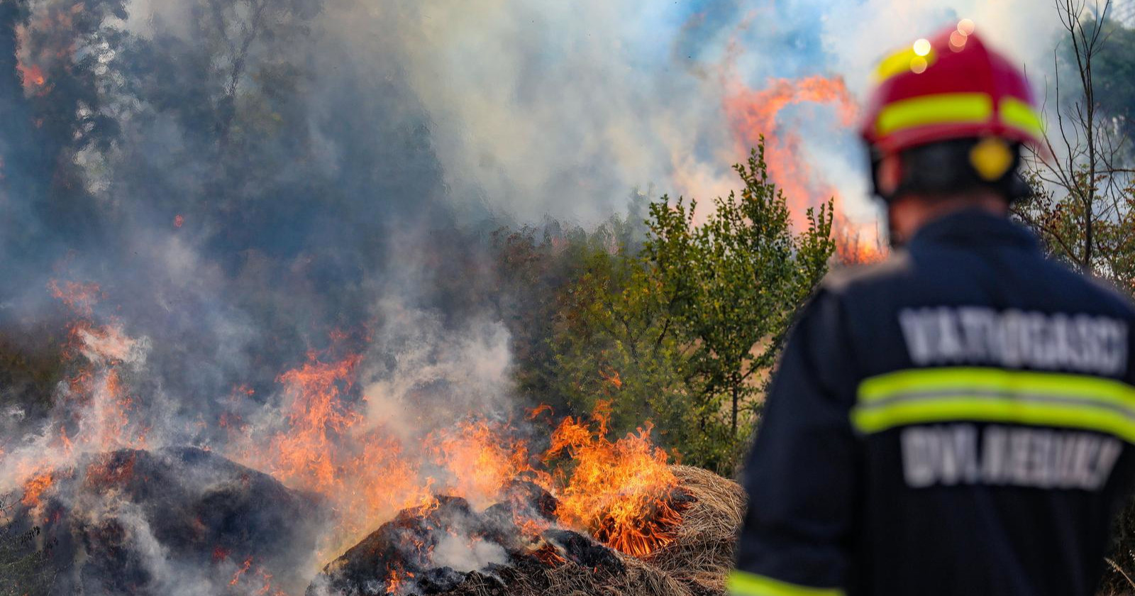 Uhvaćen serijski piroman koji je u jednom danu izazvao pet požara u Istri