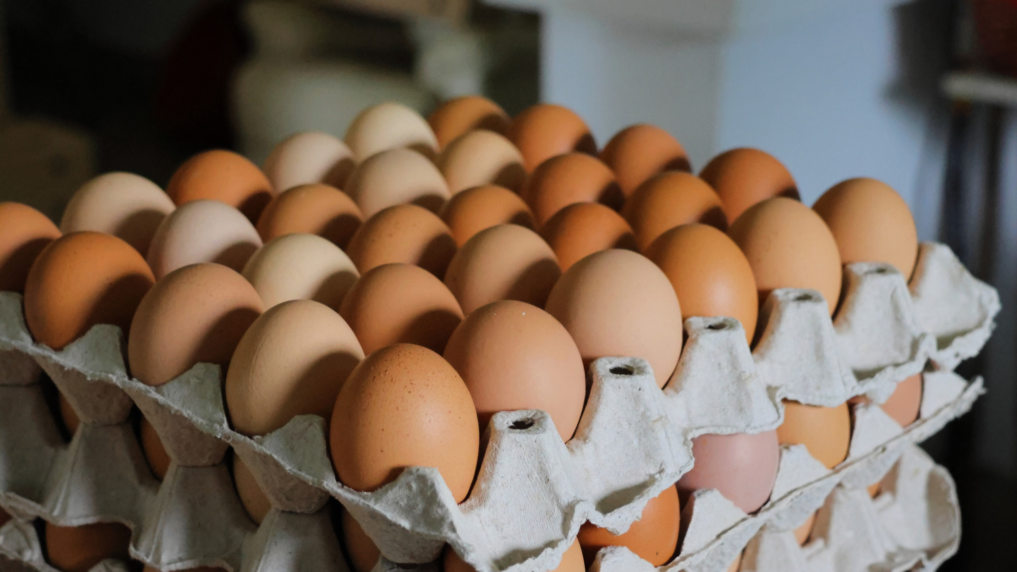 Preporuka nutricionista: Koliko jaja smijete pojesti u tjedan dana?