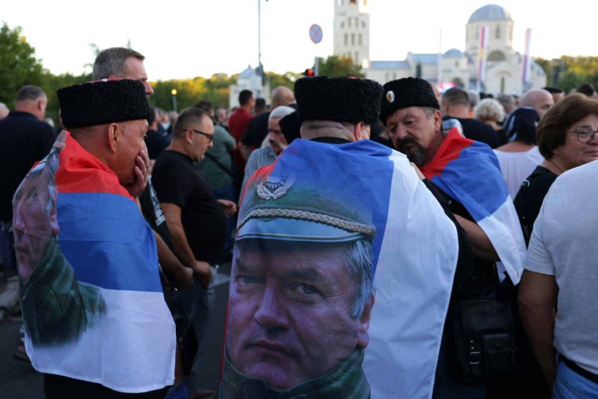 Što AfD kaže o Mladiću i Vučiću?