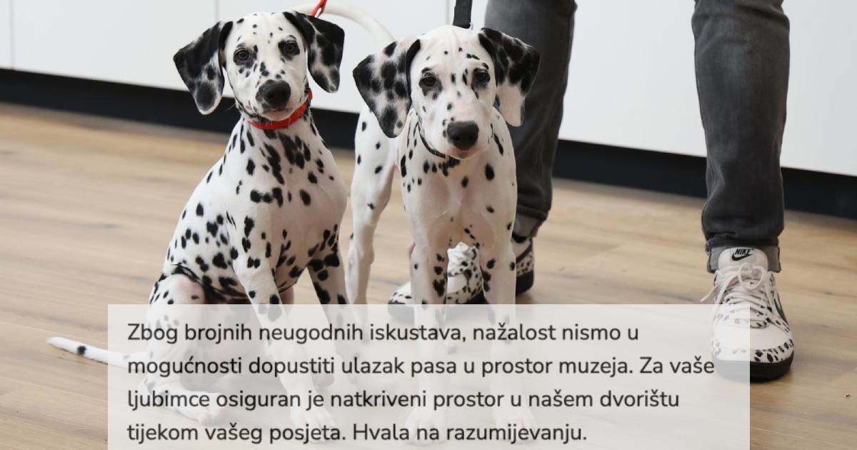 Turisti razočarani pravilom u muzeju posvećenom psima: Ljubimci moraju ostati vani