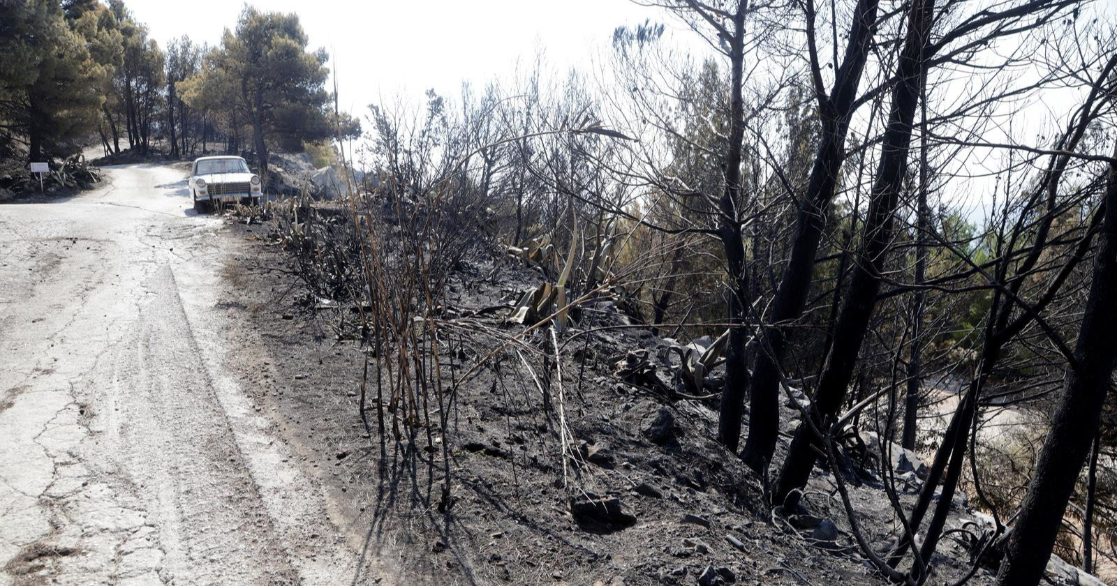 U požaru kod Omiša potpuno izgorjelo 106 vozila, 28 kuća i 45 plovila
