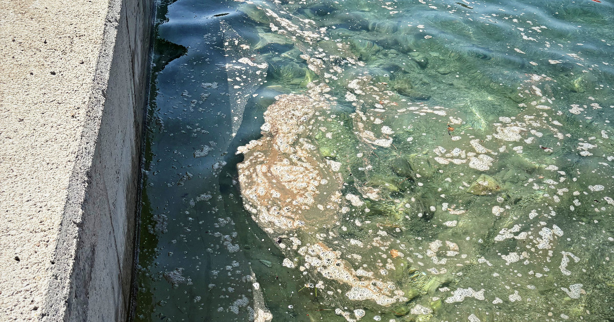 Čitatelj poslao snimku plaže na Krku: "Sumnjamo da su fekalije u moru"