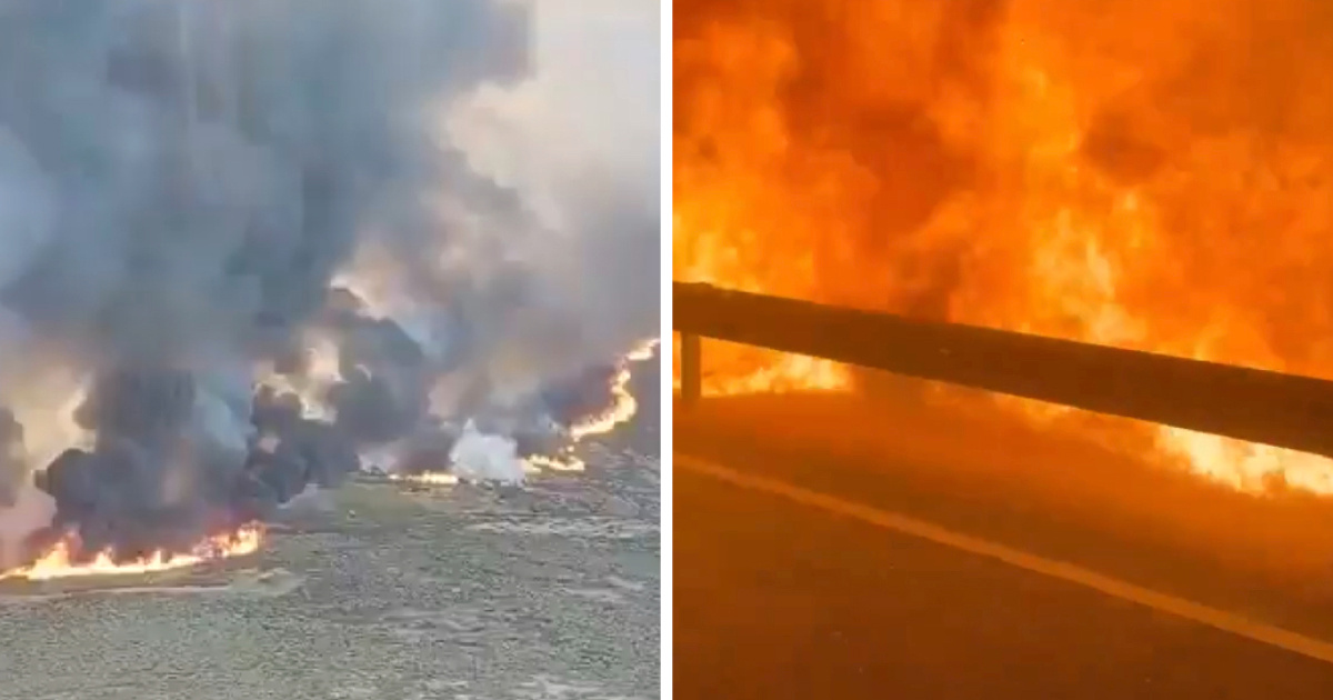 VIDEO Požari izvan kontrole u Francuskoj i Španjolskoj. Evakuirano 135.000 ljudi
