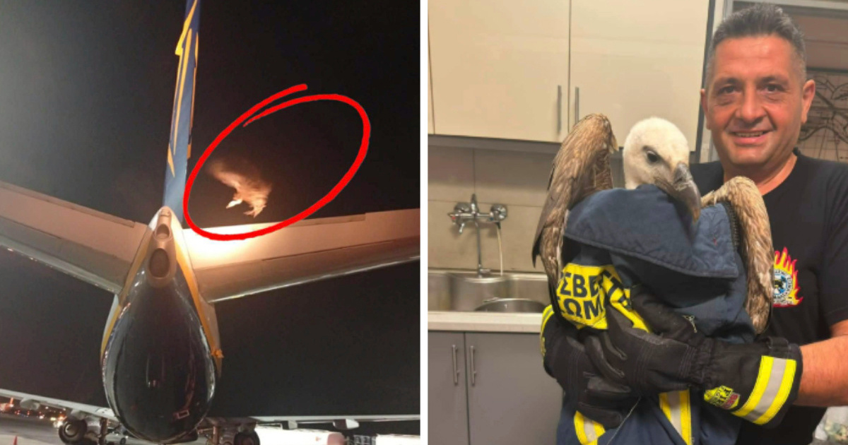 FOTO Ryanair trebao poletjeti s Krete, a onda je na avion sletio sup