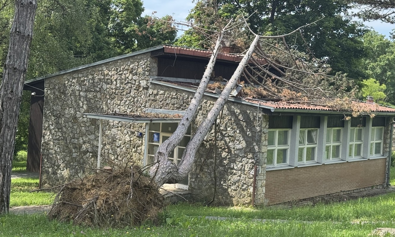 FOTO Vjetar srušio stablo na objekt u Zagrebu. Mje