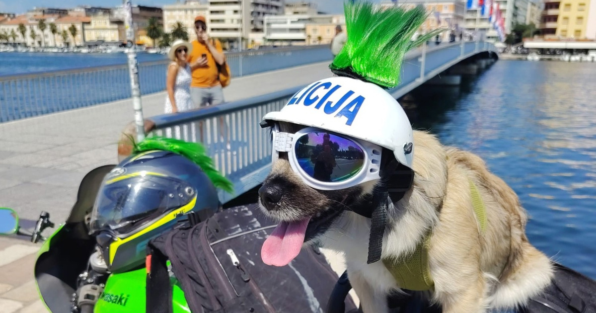 Mima je s vlasnikom na motoru krenula na more. Do kraja avanture prijeći će 1000 km