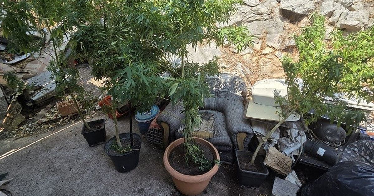 Motociklist u Metkoviću bježao od policije. U stanu mu našli laboratorij za marihuanu