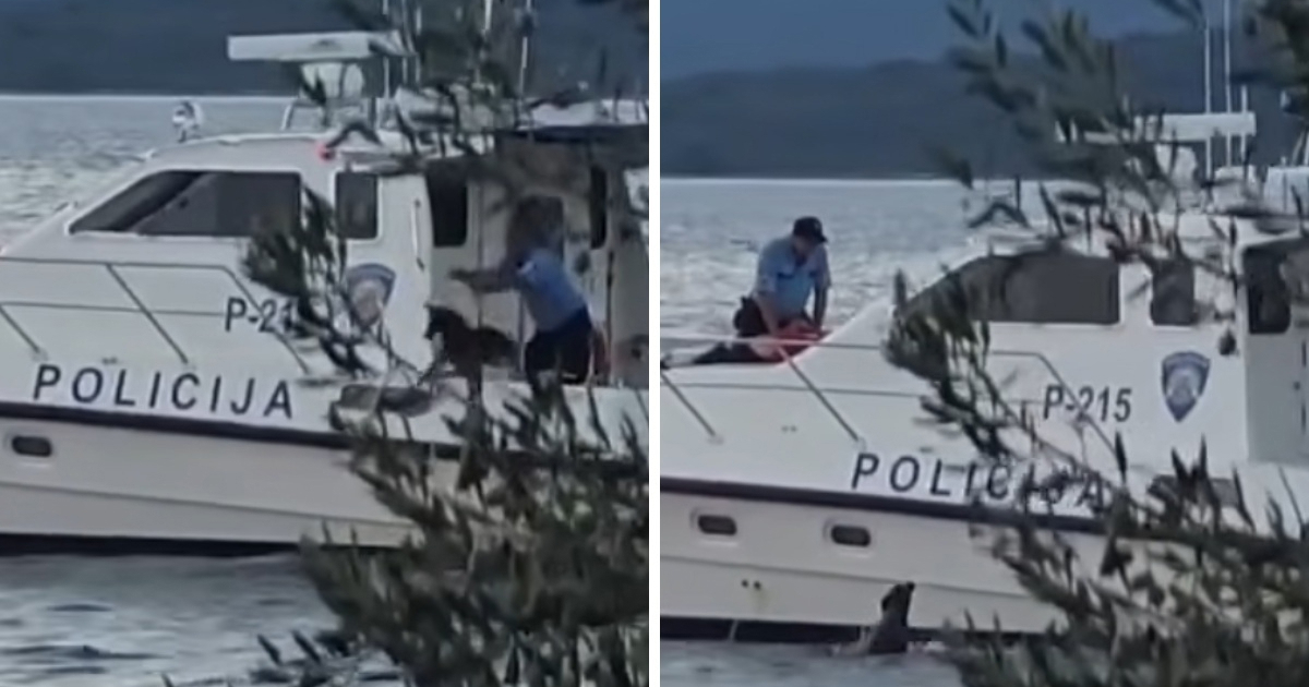 Uhitili traženog nasilnika na Pašmanu, opirao se policiji. Policajac bacio psa u more