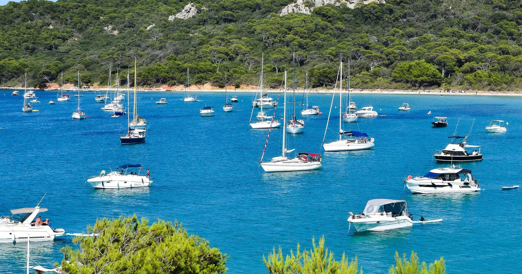 Nazivaju ga "plutajućom šumom": Ima 200 stanovnika i jednu od najljepših plaža Europe
