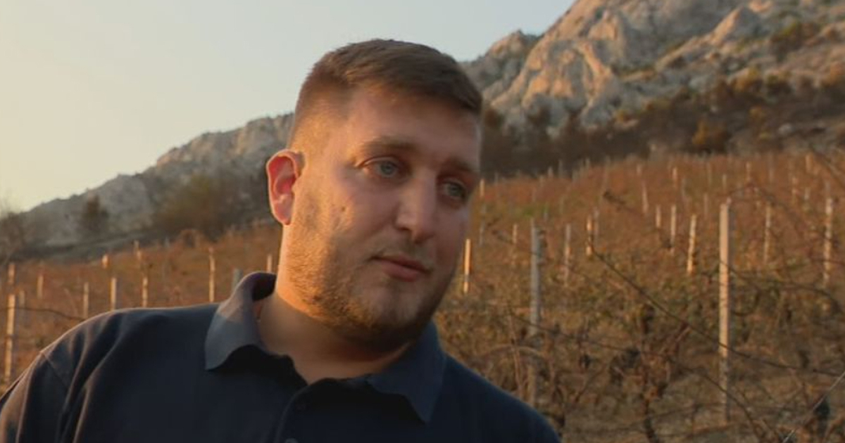 Vinogradar: Sve je nestalo u sat vremena. Iduća berba moguća je tek za 7 godina