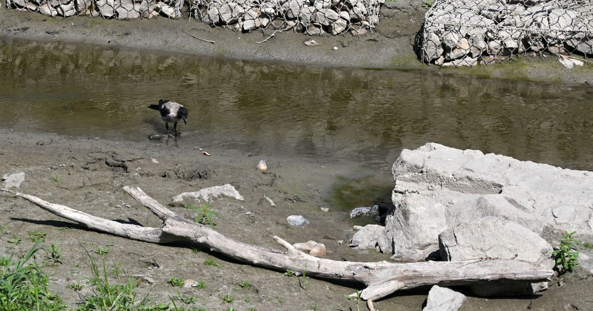 Zbog suše proglašena prirodna nepogoda za cijelu Virovitičko- podravsku županiju
