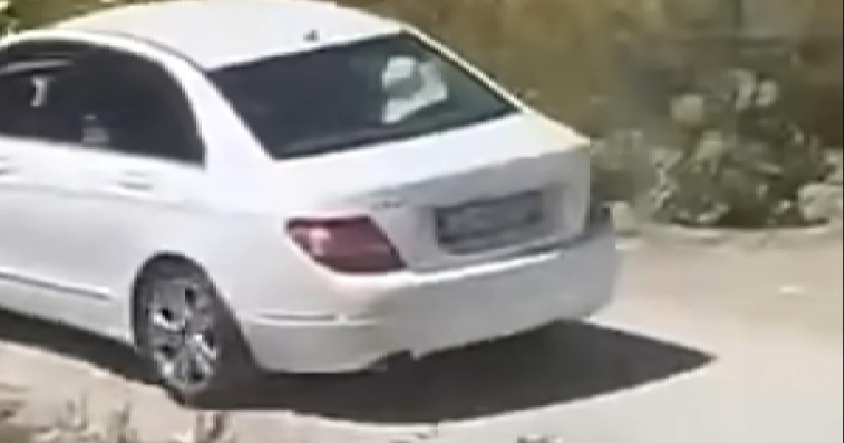 Žena automobilom pregazila psa pa pokušala pobjeći iz Crne Gore. Uhićena je