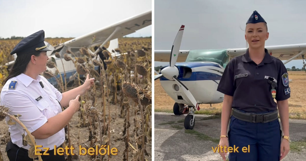 Pijani mladić ukrao mali avion u Mađarskoj, išao prema nuklearki, sletio u suncokrete