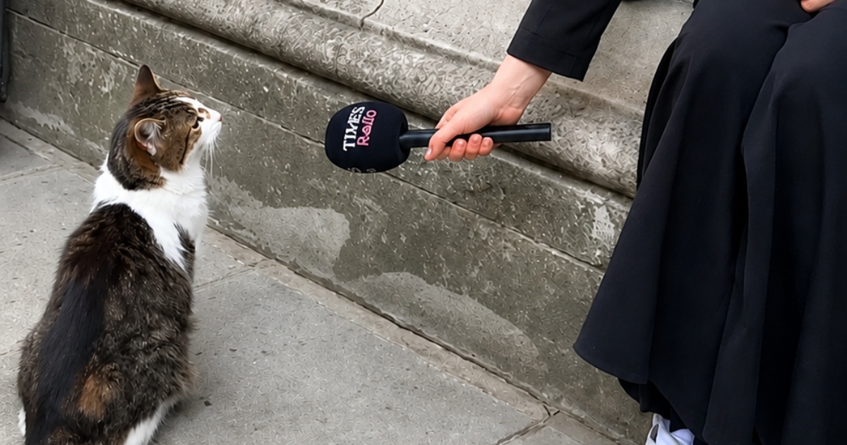 Mačak iz Downing Streeta postao viralan zbog reakcije na novinarkino pitanje