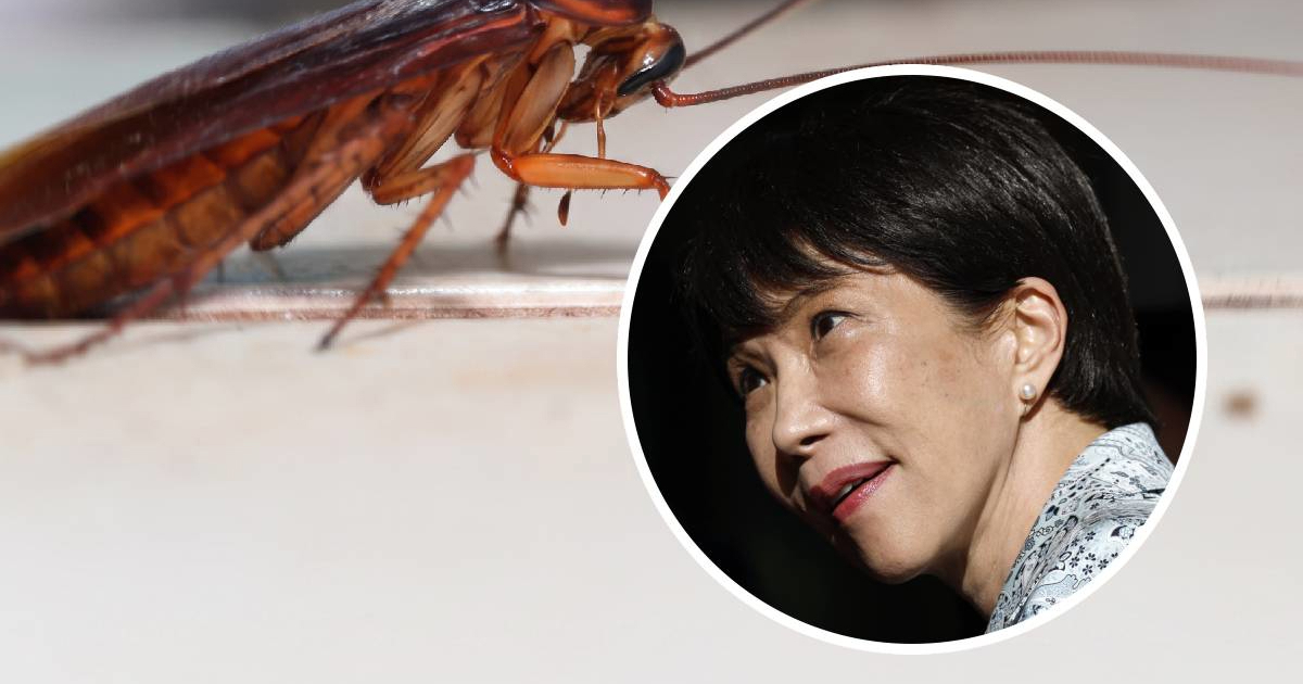 Japanska premijerka nakon dezinsekcije: Pomalo sam usamljena bez žohara