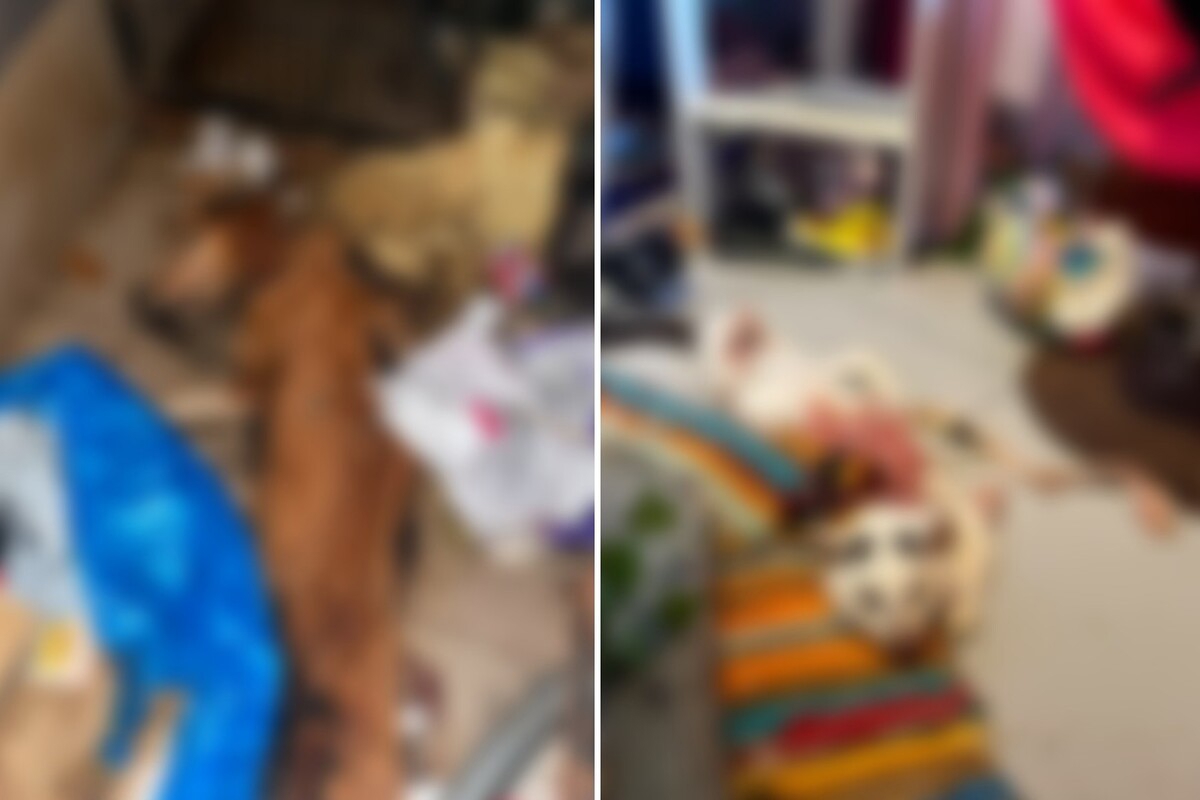 Strašni prizori u Dvoru, volonteri pronašli nove leševe pasa
