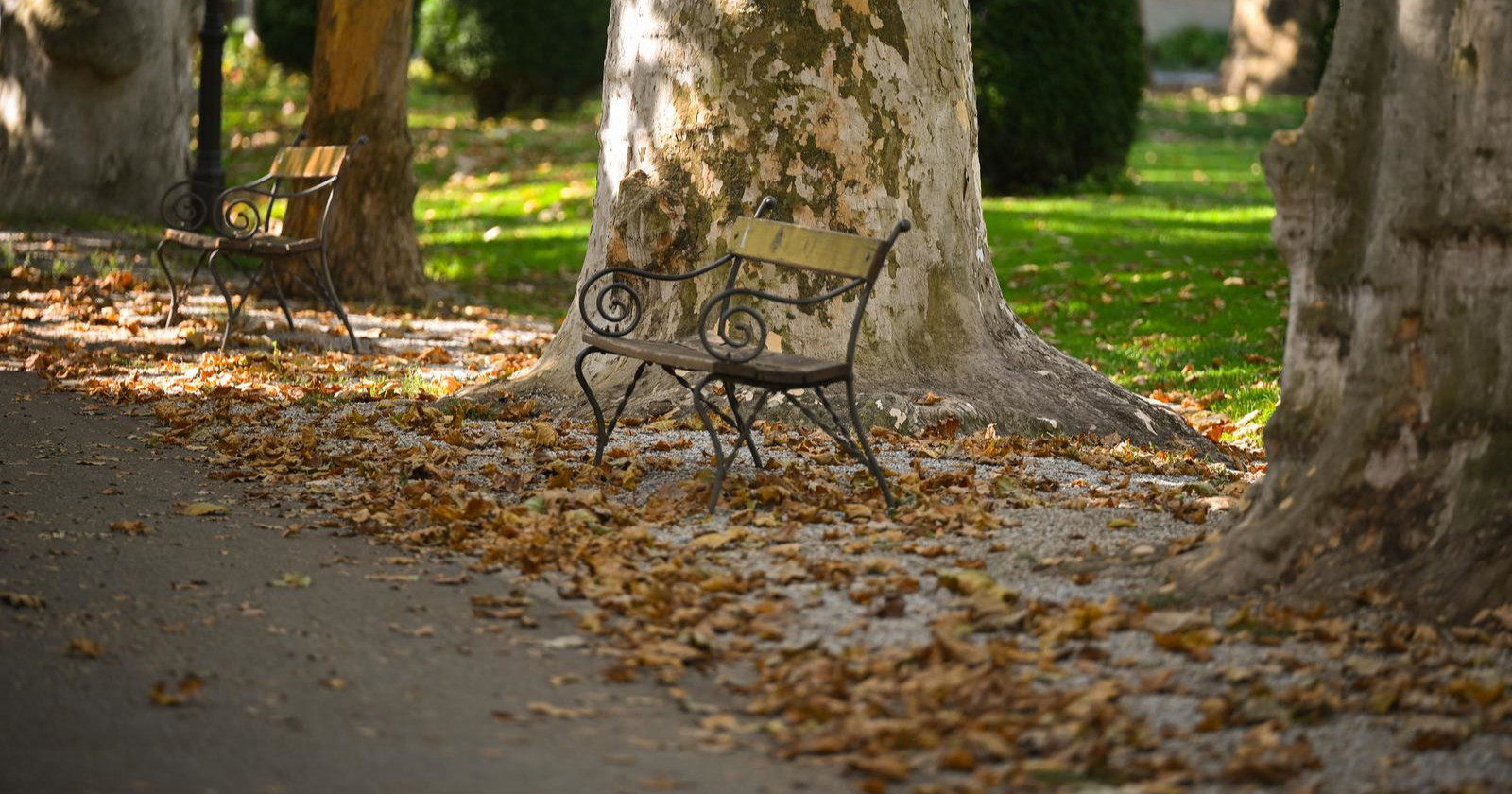 (Žao nam je što vam to moramo reći) Zrinjevac izgleda kao da je stigla jesen