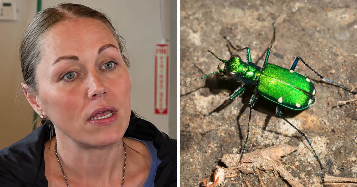 Uzela je u ruku "prekrasnu" zelenu bubu, nekoliko minuta kasnije borila se za život