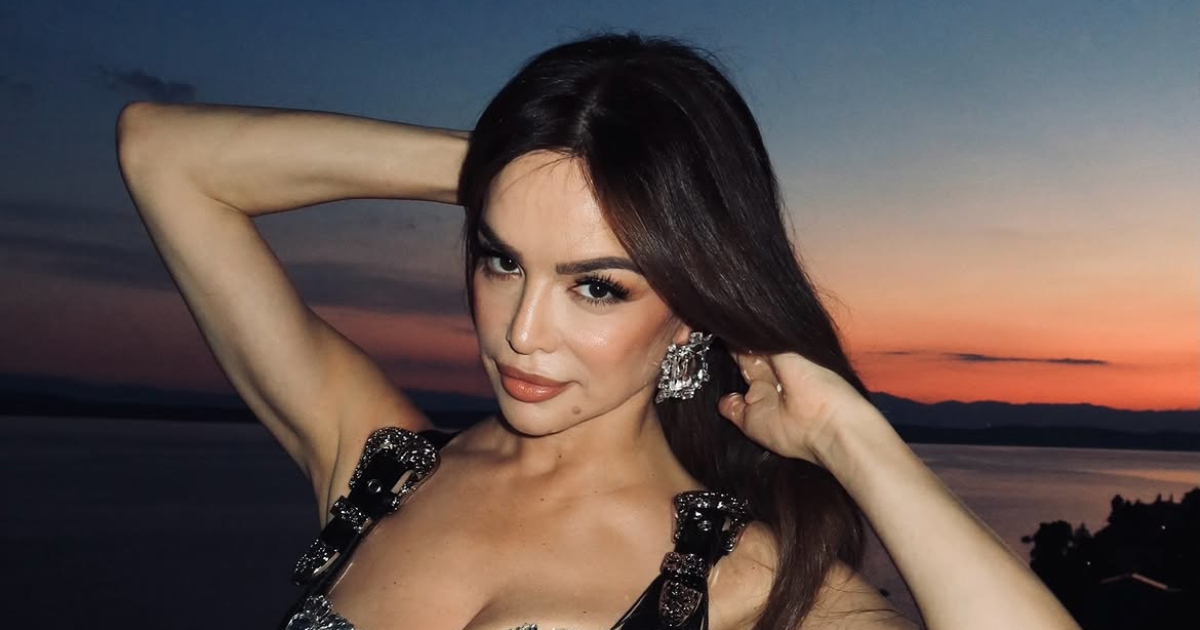 Severina: Malo idem na sudove, malo na koncerte. Savršen tjedan jedne obične kućanice