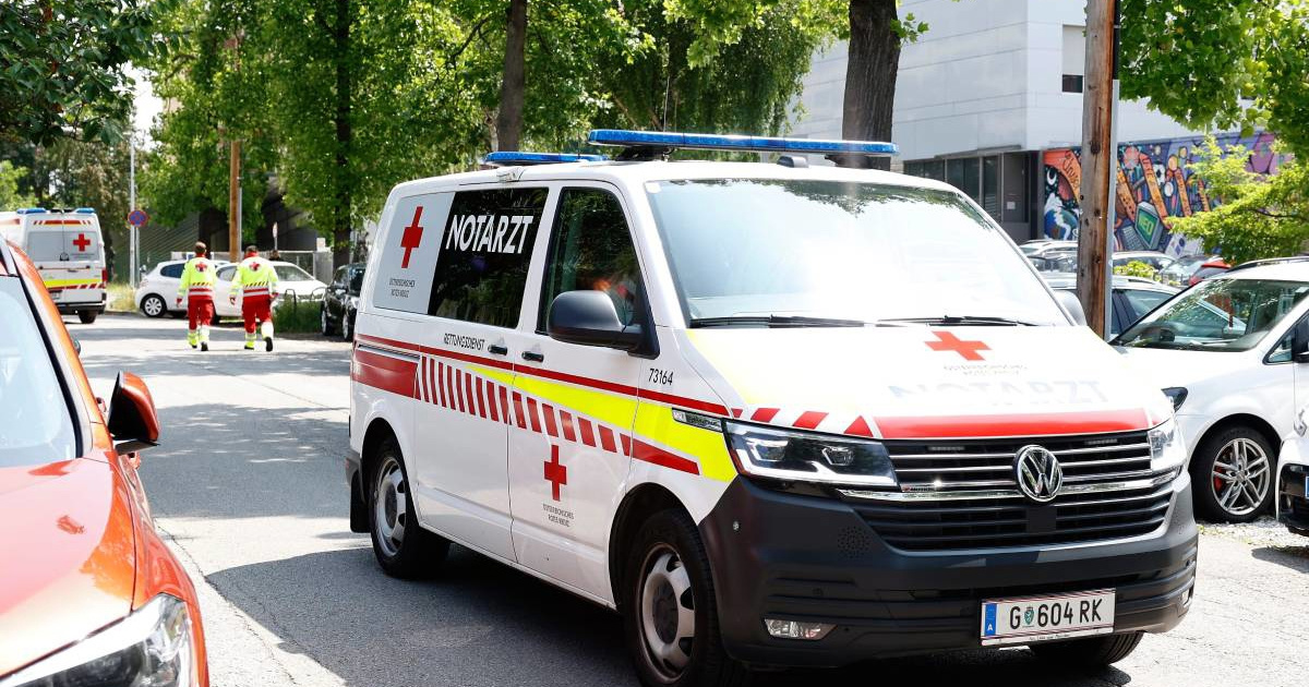 U Austriji ubijena osmogodišnja djevojčica. Otac uhićen