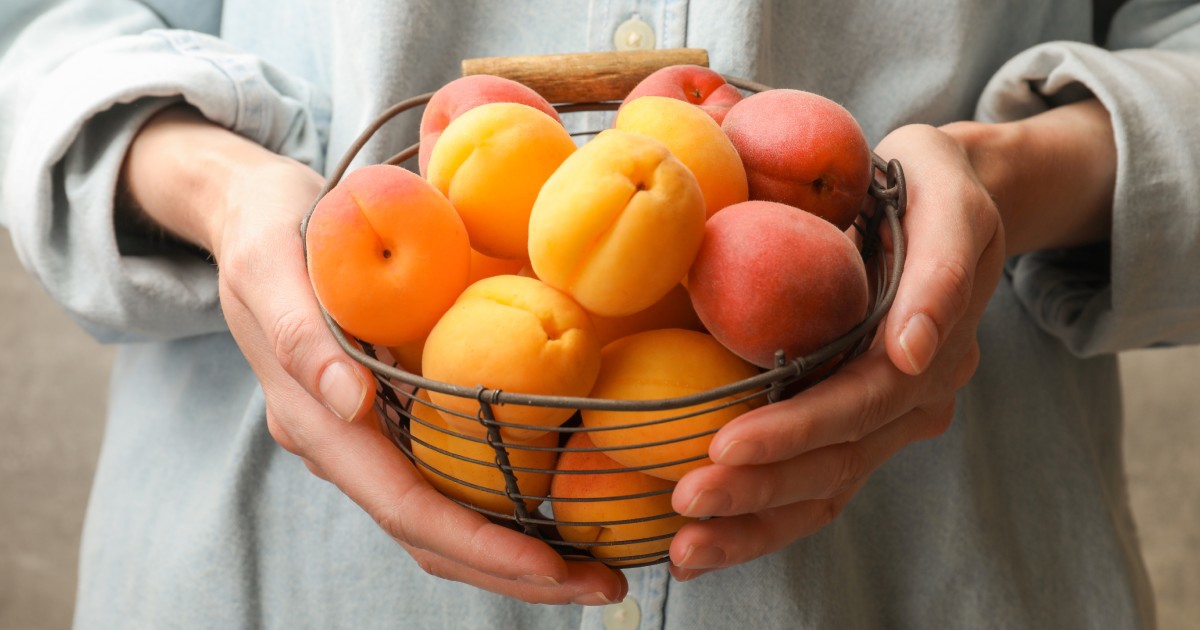 Marelice: Nutrijenti i zdravstvene dobrobiti ljetnog voća
