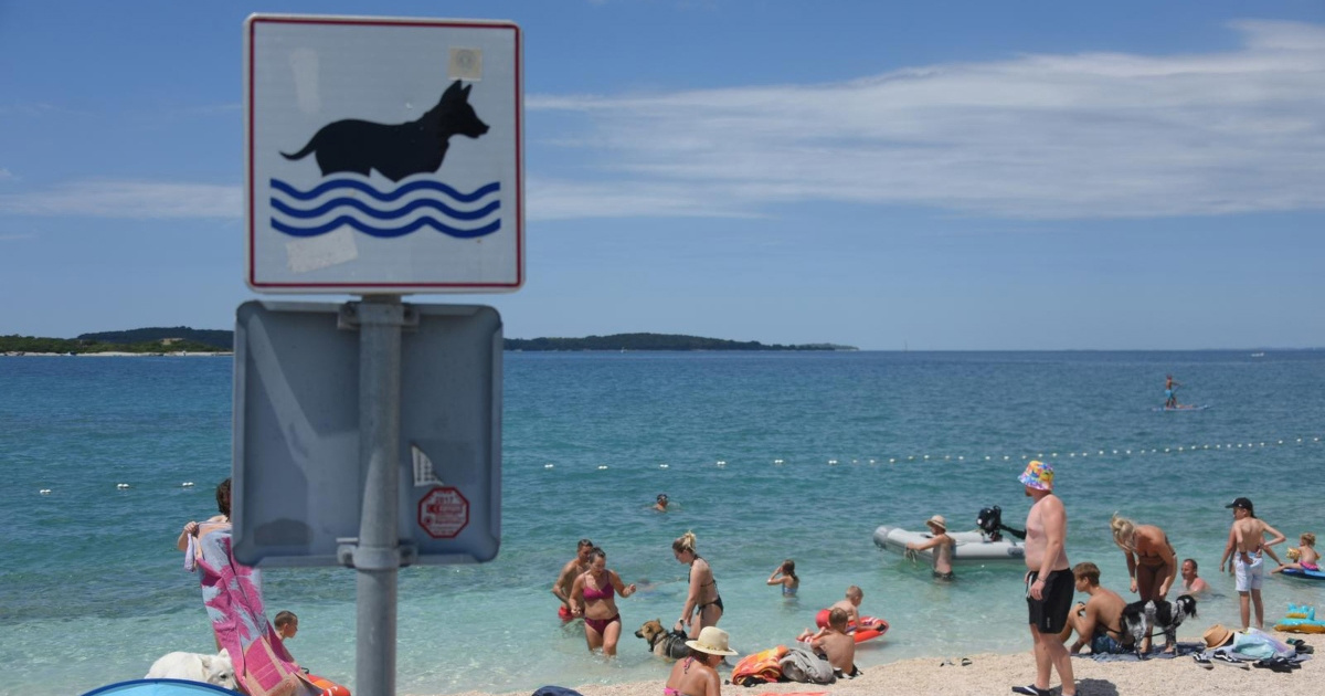 Peticiju za pet-friendly plaže potpisalo 1500 građana: "Ne zabranama, nego pravilima"