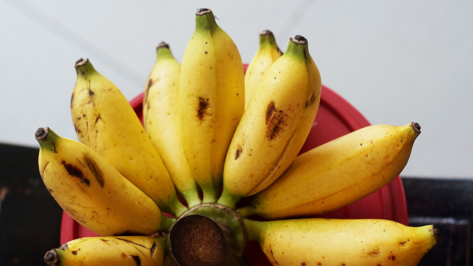 U dućanima su se pojavile mini banane - što je to i o čemu se tu radi?