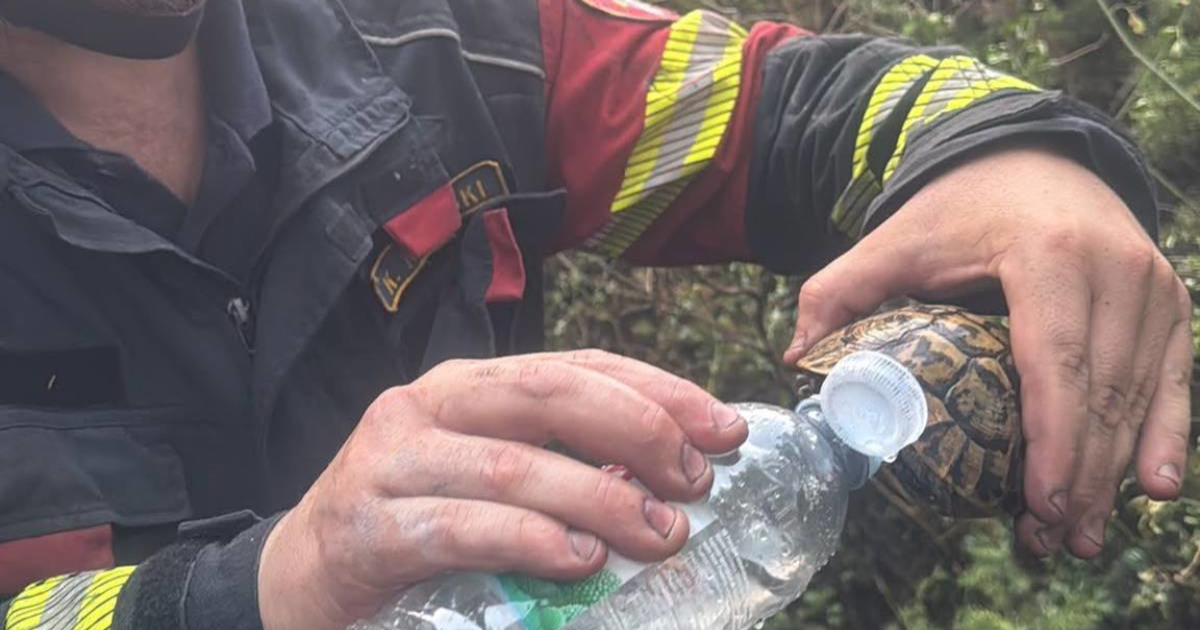 Fotografija s Pelješca koja najbolje opisuje kakvi su ljudi vatrogasci