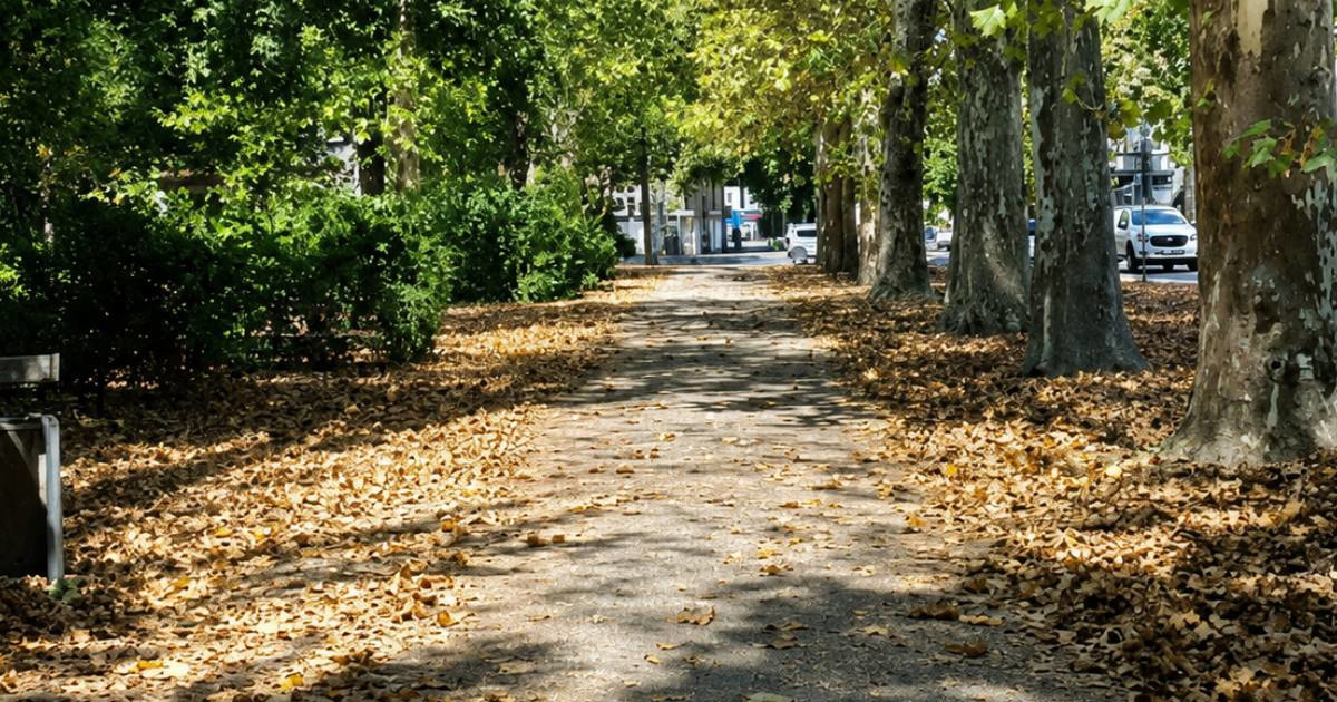 VIDEO Toliko je vruće da lišće u Zagrebu pada s drveća kao da je jesen