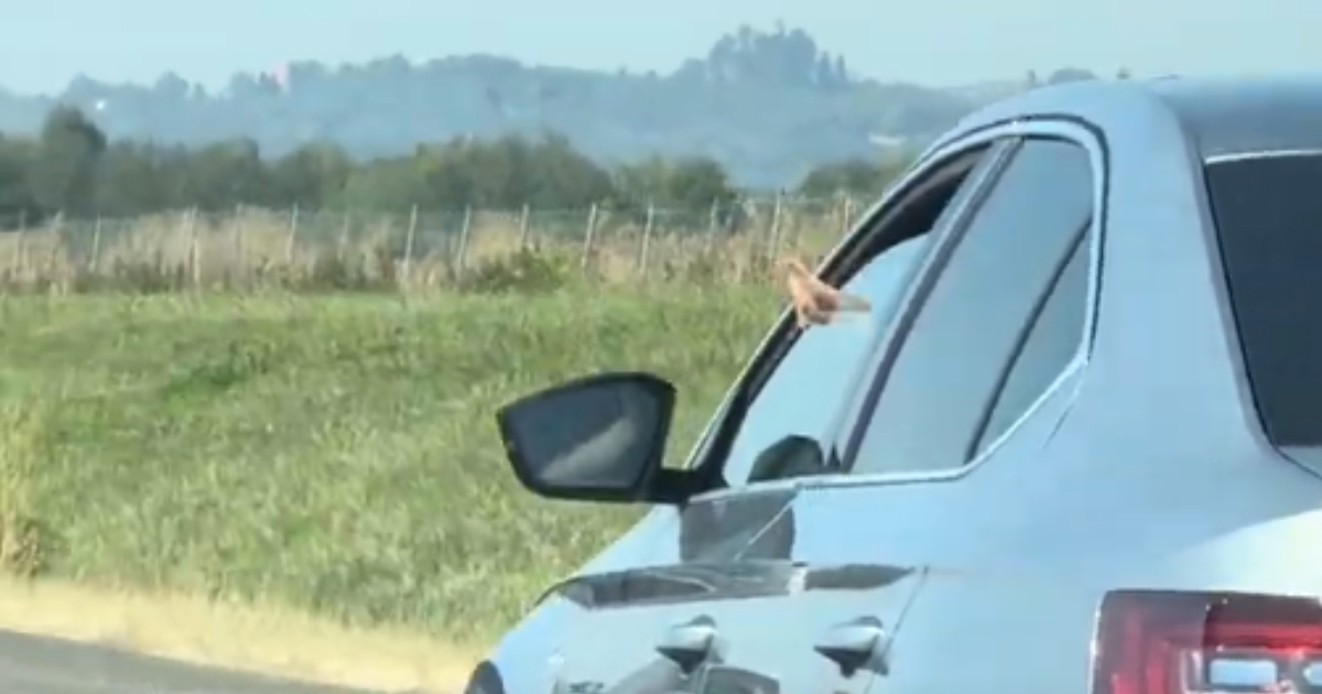 VIDEO Čeh baca opušak iz Škode na autocesti A1